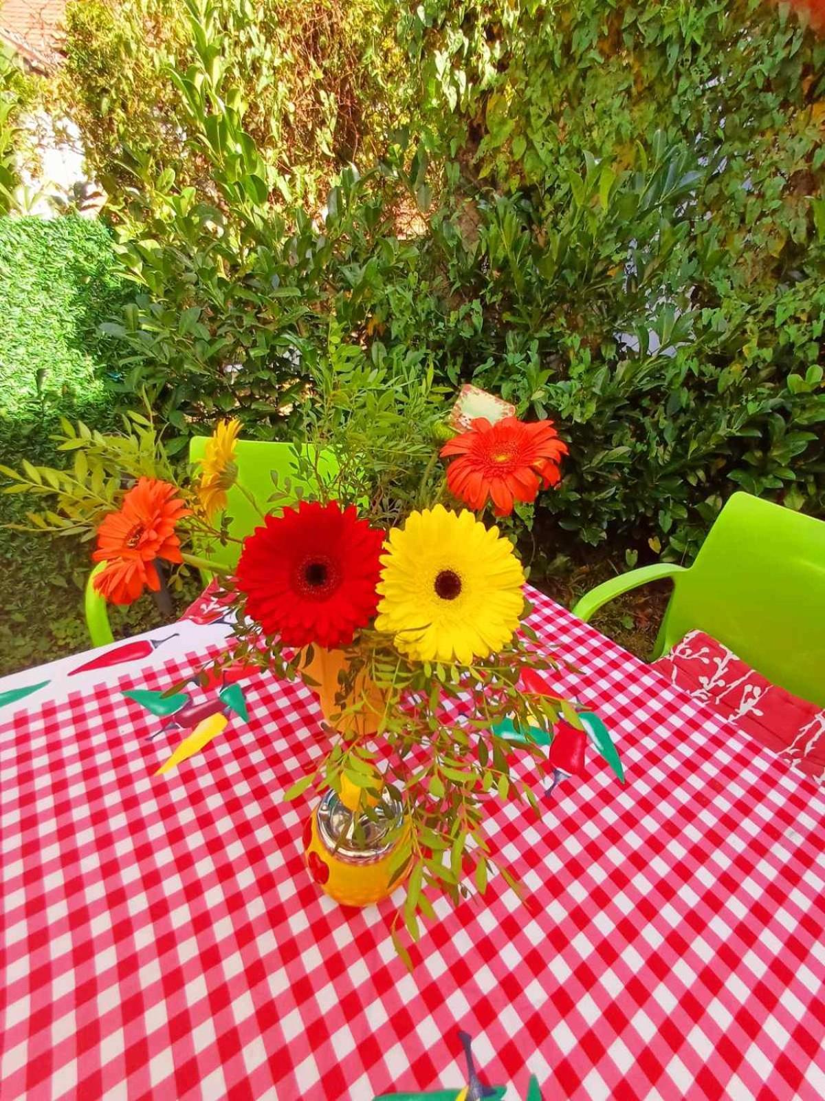 Sweet Home Valjevo Dış mekan fotoğraf